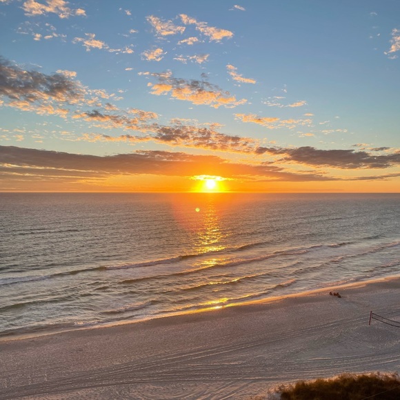 LIVE LISTING!!! - Picture 5 of 7